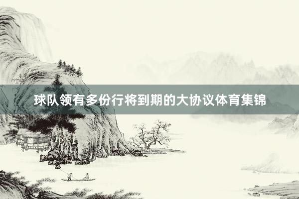 球队领有多份行将到期的大协议体育集锦