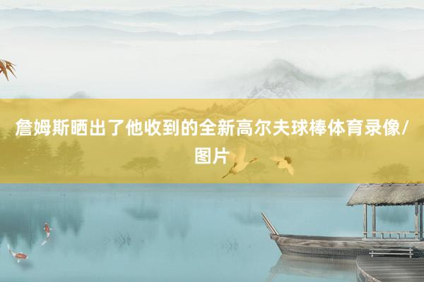 詹姆斯晒出了他收到的全新高尔夫球棒体育录像/图片