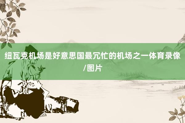 纽瓦克机场是好意思国最冗忙的机场之一体育录像/图片