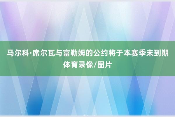 马尔科·席尔瓦与富勒姆的公约将于本赛季末到期体育录像/图片