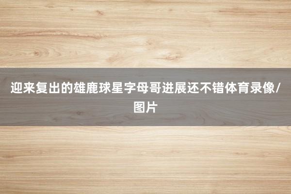 迎来复出的雄鹿球星字母哥进展还不错体育录像/图片
