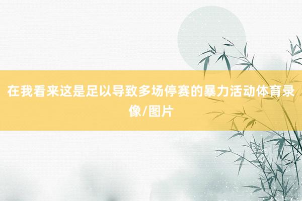 在我看来这是足以导致多场停赛的暴力活动体育录像/图片