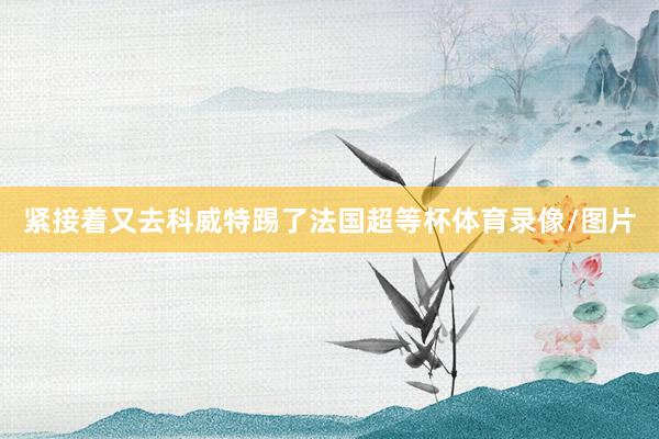 紧接着又去科威特踢了法国超等杯体育录像/图片