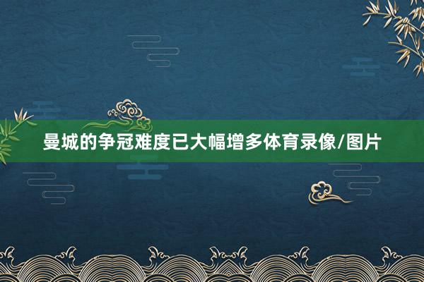 曼城的争冠难度已大幅增多体育录像/图片