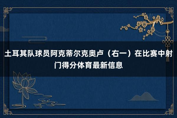 土耳其队球员阿克蒂尔克奥卢（右一）在比赛中射门得分体育最新信息