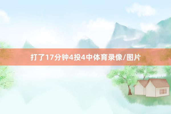 打了17分钟4投4中体育录像/图片