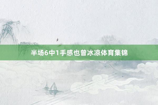 半场6中1手感也曾冰凉体育集锦