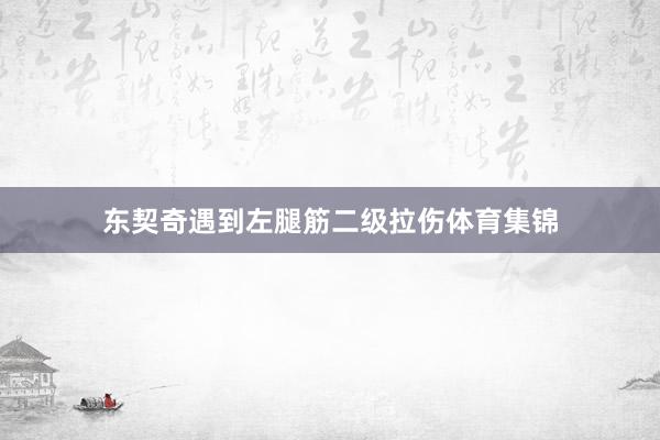 东契奇遇到左腿筋二级拉伤体育集锦