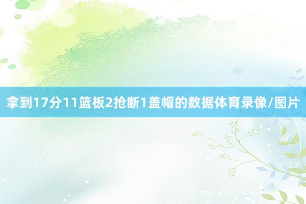 拿到17分11篮板2抢断1盖帽的数据体育录像/图片