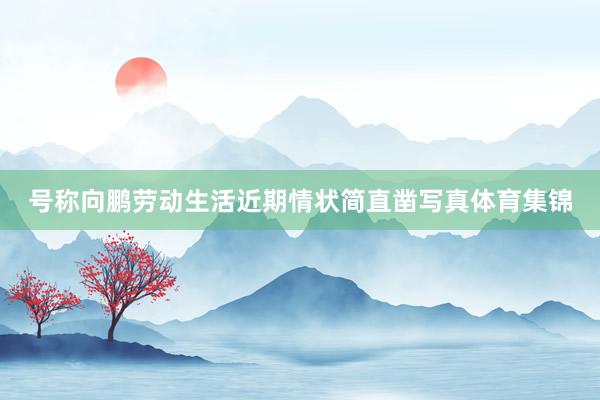 号称向鹏劳动生活近期情状简直凿写真体育集锦
