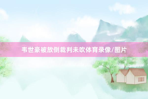 韦世豪被放倒裁判未吹体育录像/图片