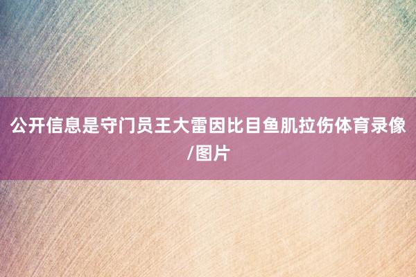 公开信息是守门员王大雷因比目鱼肌拉伤体育录像/图片