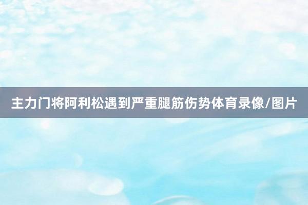 主力门将阿利松遇到严重腿筋伤势体育录像/图片