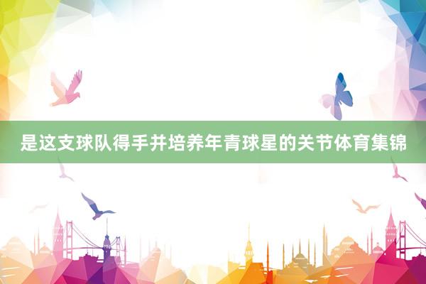 是这支球队得手并培养年青球星的关节体育集锦