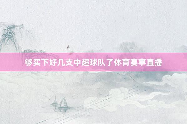 够买下好几支中超球队了体育赛事直播