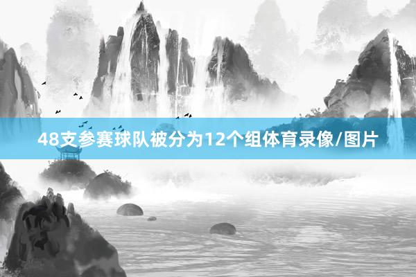 48支参赛球队被分为12个组体育录像/图片