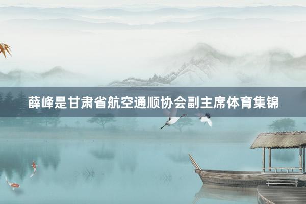 薛峰是甘肃省航空通顺协会副主席体育集锦