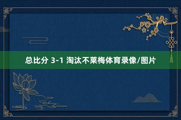 总比分 3-1 淘汰不莱梅体育录像/图片
