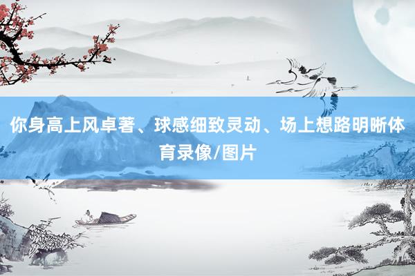 你身高上风卓著、球感细致灵动、场上想路明晰体育录像/图片