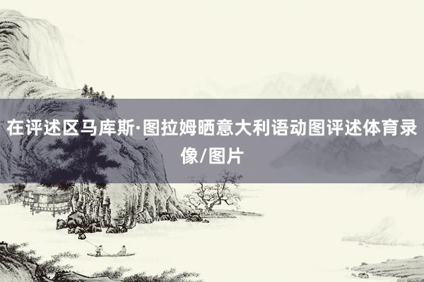在评述区马库斯·图拉姆晒意大利语动图评述体育录像/图片