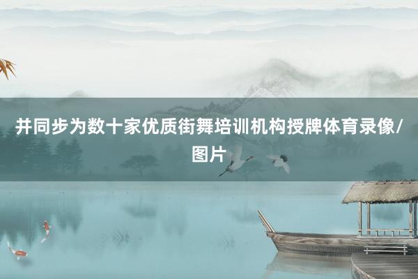 并同步为数十家优质街舞培训机构授牌体育录像/图片