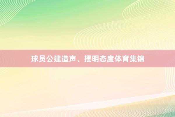 球员公建造声、摆明态度体育集锦