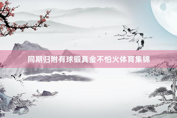 同期归附有球锻真金不怕火体育集锦